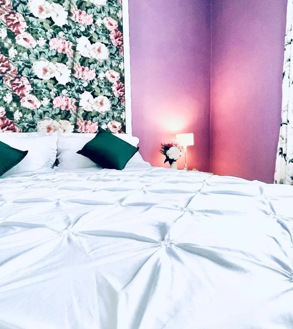 Jck Tuscany Apartment Livorno 0*,